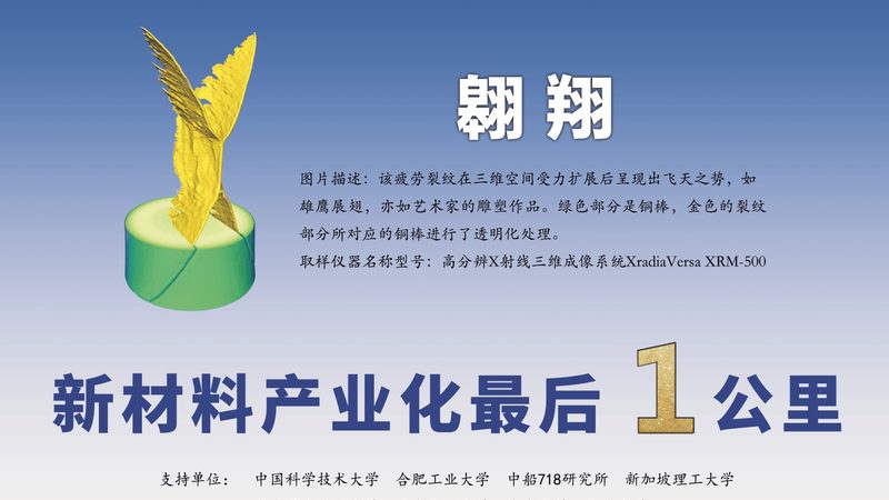 食品防腐剂添加比例：如何确保食品安全与合规