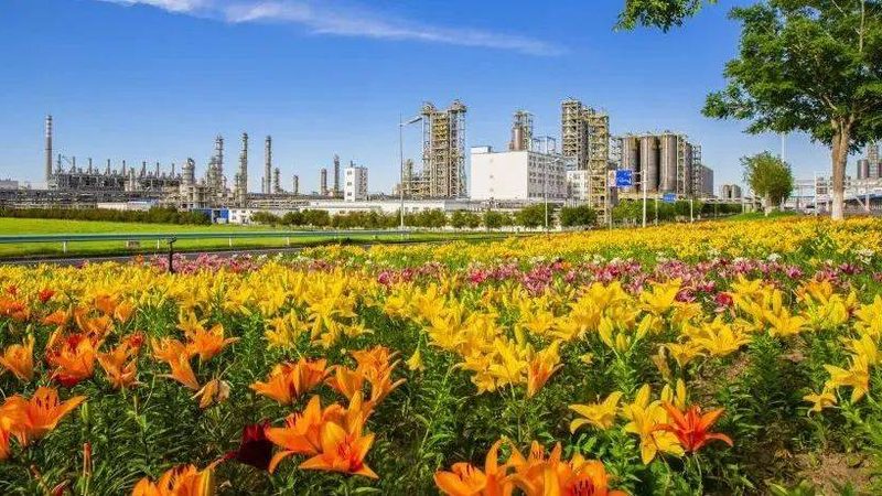 有机化工原料检测标准的全面解析